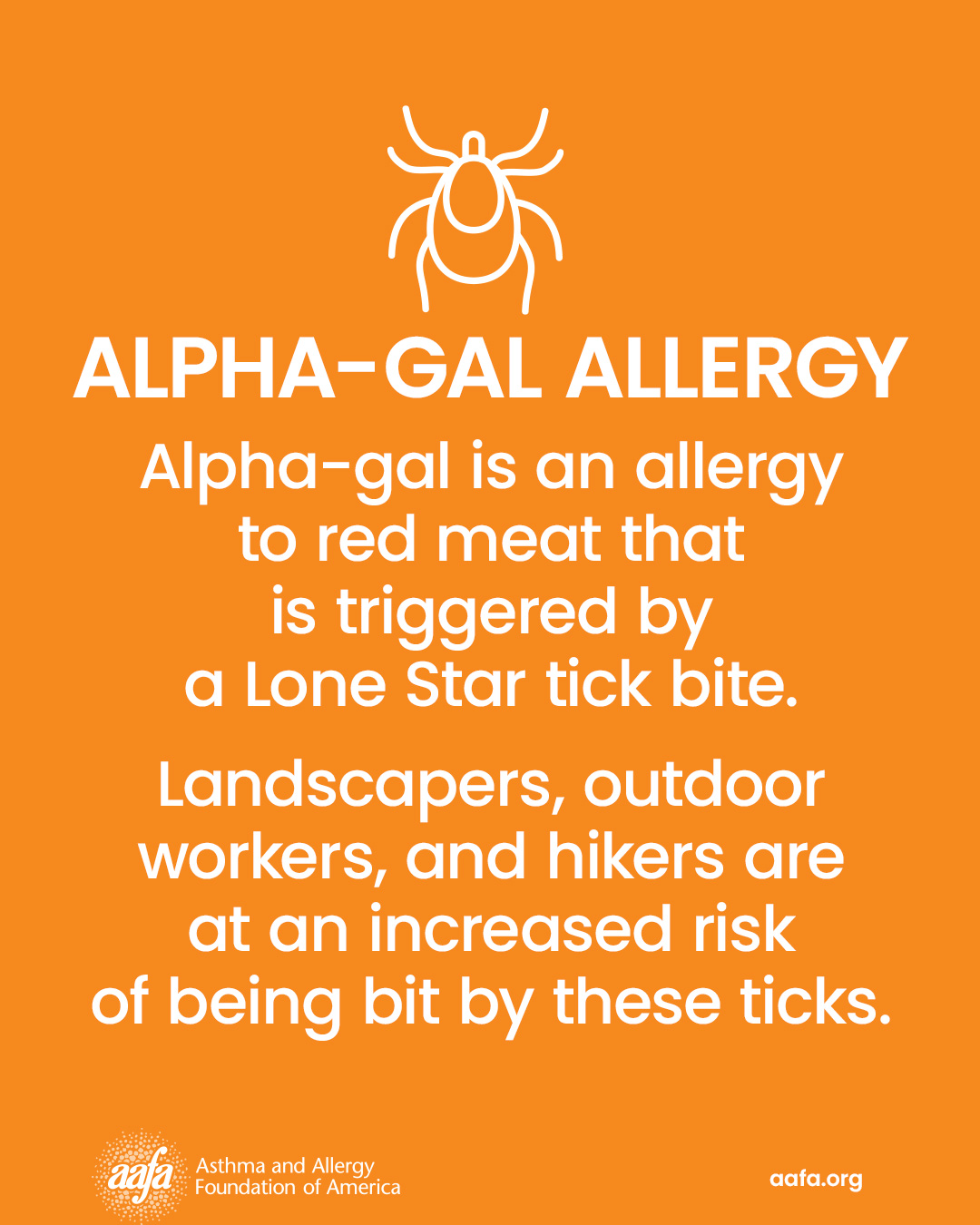 Alpha-gal is an allergy to red meat that is triggered by a Lone Star tick bite. It can also cause allergic reactions to milk products and gelatins.