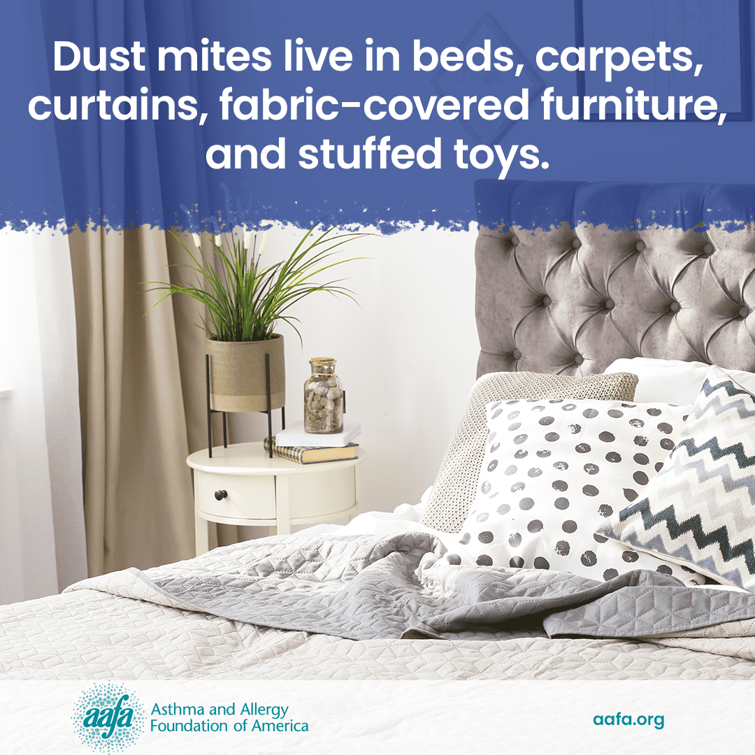 A photo of a bedroom with the text dus mites live in beds, carpets, curtains, fabric-covered furniture, and stuffed toys.