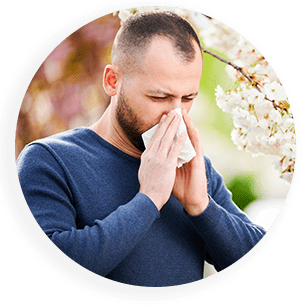 grass pollen<br />